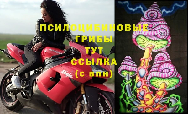 трава Заводоуковск
