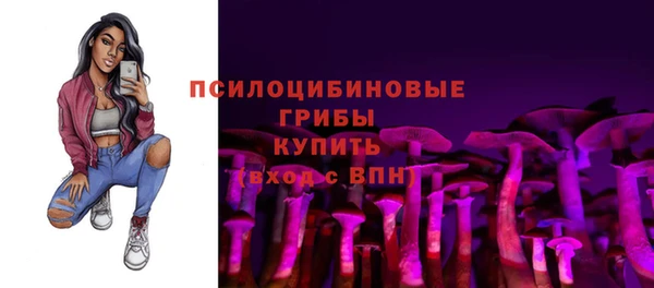 apvp Заволжск