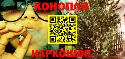 гидра Боровичи