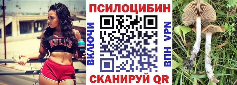 Галлюциногенные грибы Magic Shrooms Пермь